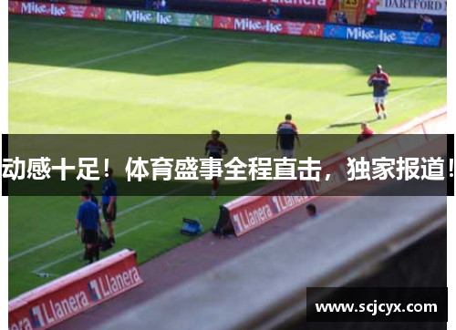 动感十足！体育盛事全程直击，独家报道！