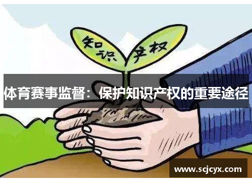 体育赛事监督：保护知识产权的重要途径
