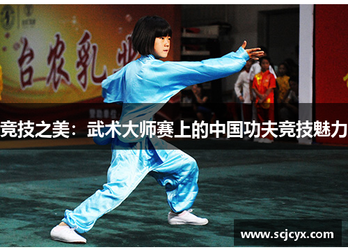 竞技之美：武术大师赛上的中国功夫竞技魅力