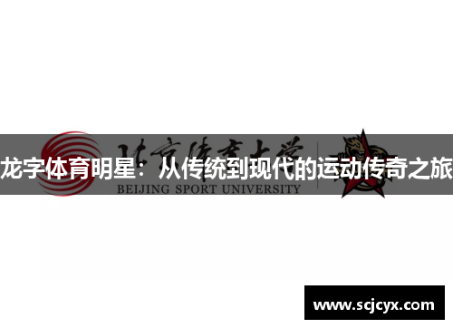 龙字体育明星：从传统到现代的运动传奇之旅