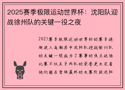 2025赛季极限运动世界杯：沈阳队迎战徐州队的关键一役之夜